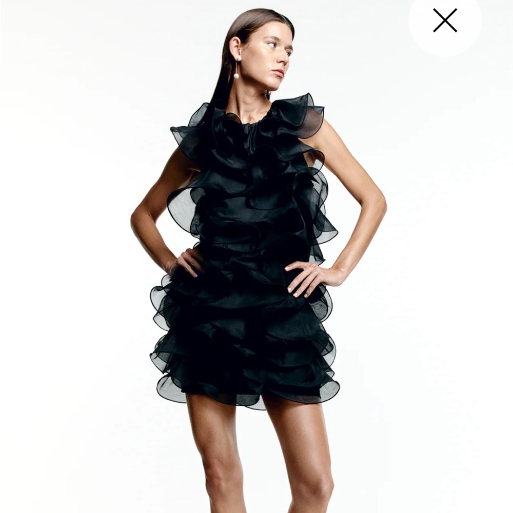 Gorgeous and fun black ruffled mini dress. Perfect for your holiday party.
